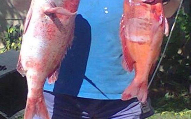  Grant White met sy stompneus en rooi roman